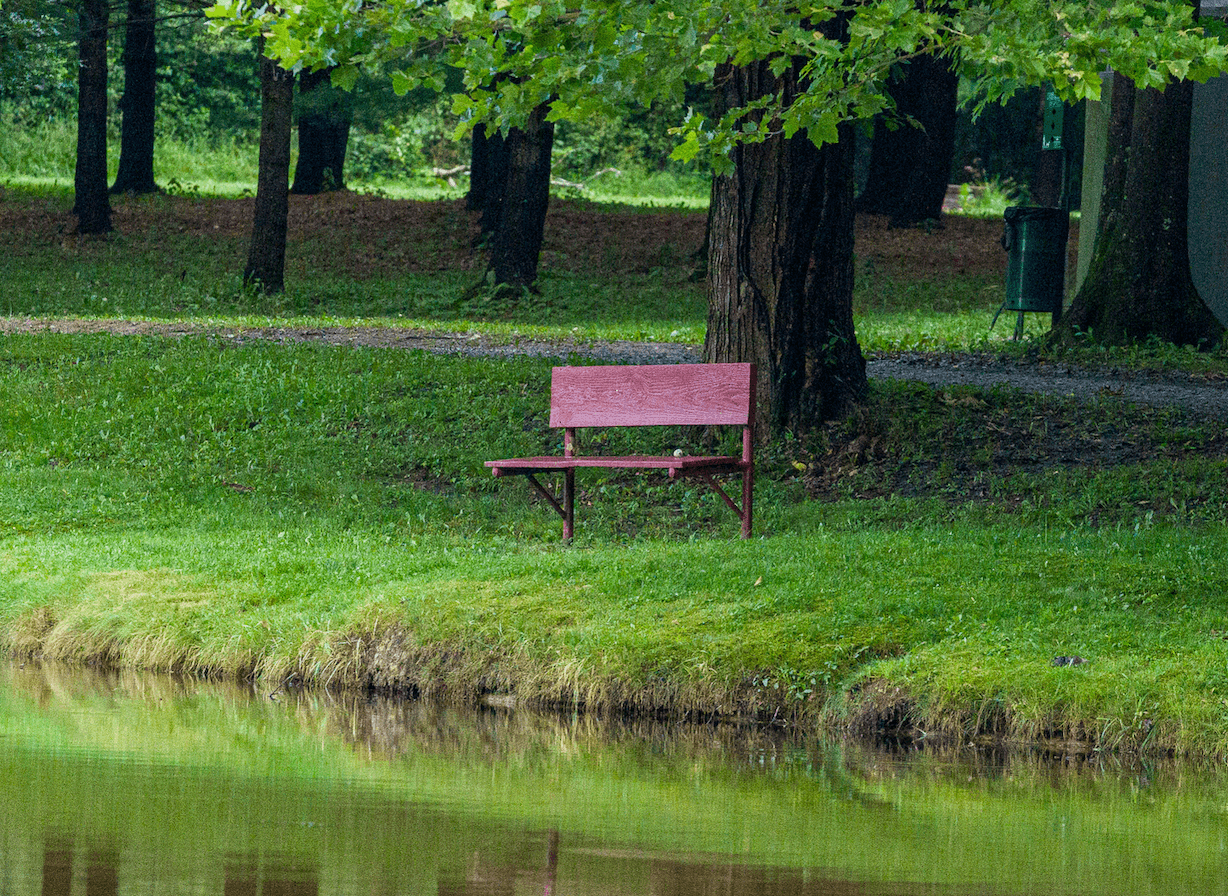 Serene bench overlooking the campground