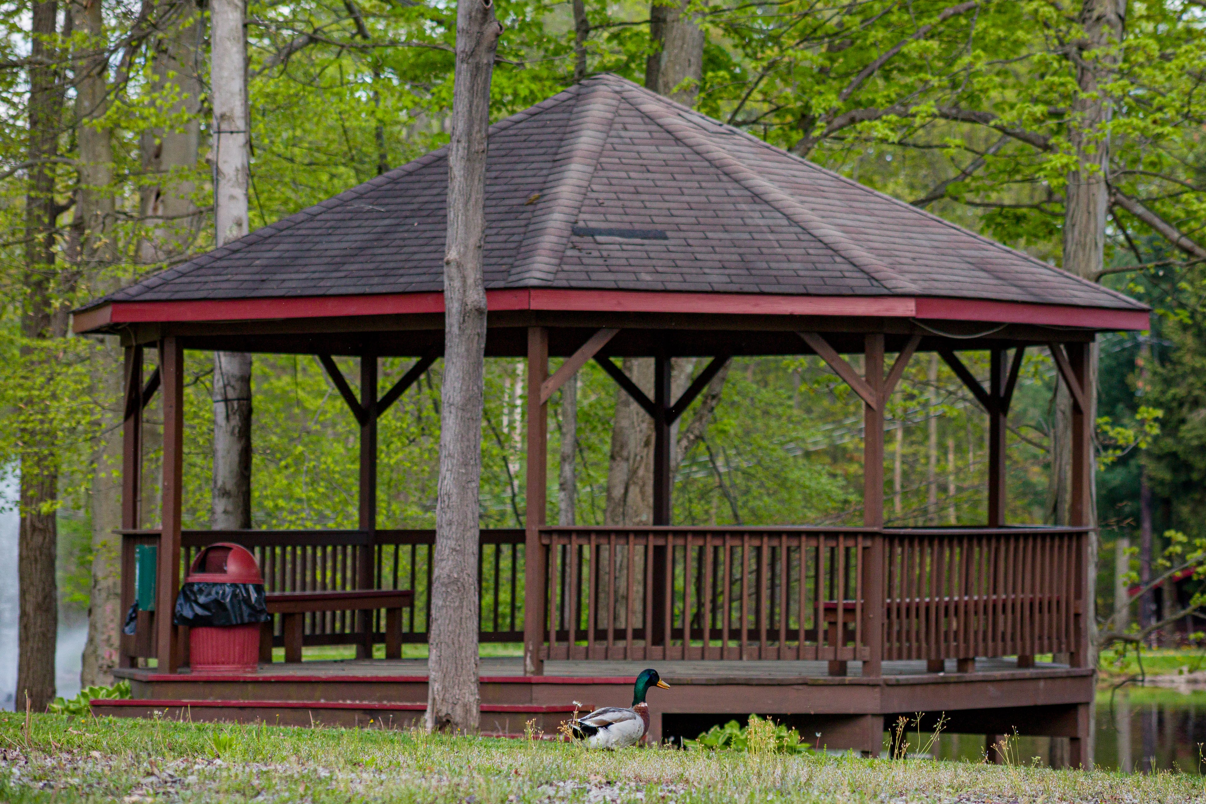 Gazebo by the lake