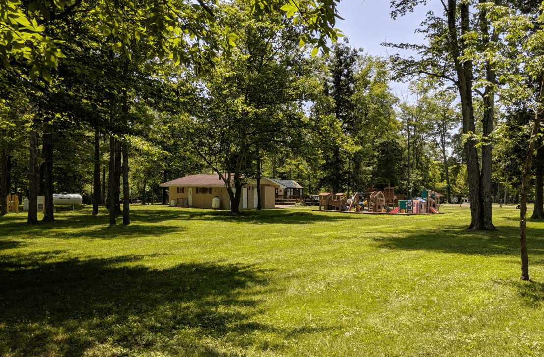 Open grassy field