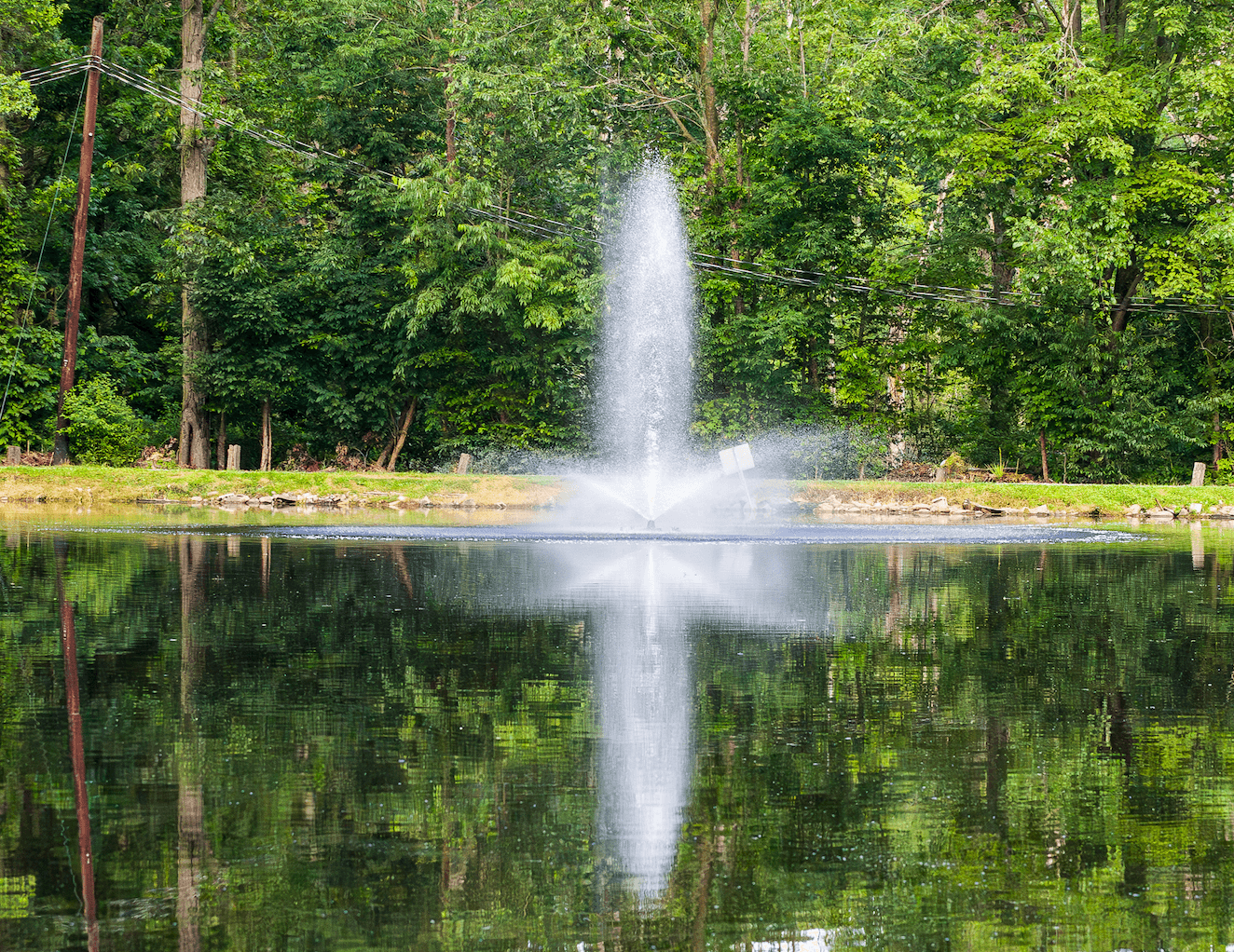 Lake fountain surrounded by trees
