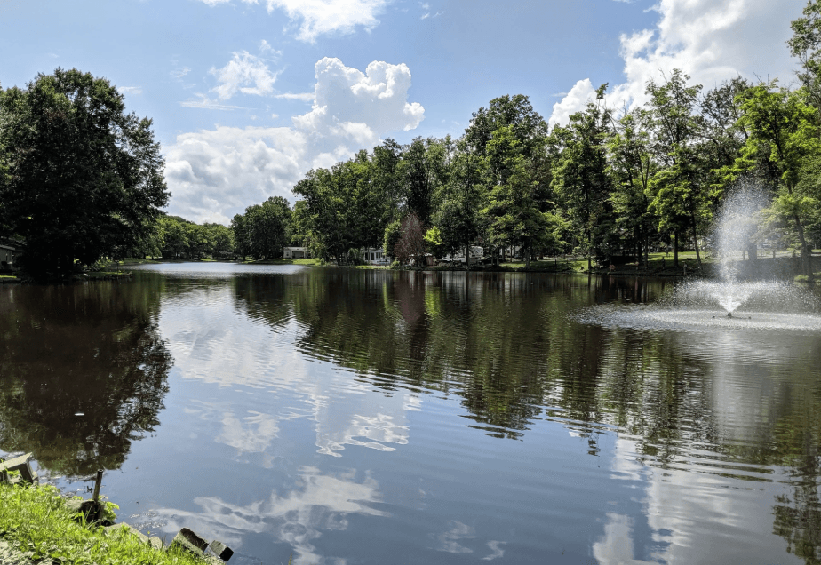 Lake view with reflections