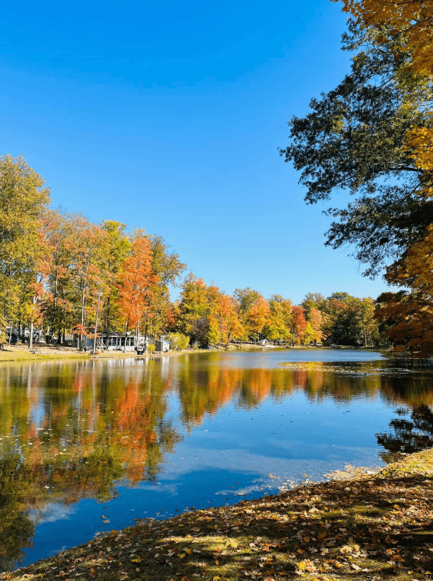 Lake view in autumn colors